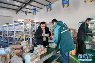 打造產業園區，賦能農產品銷售，構建電子商務新生態